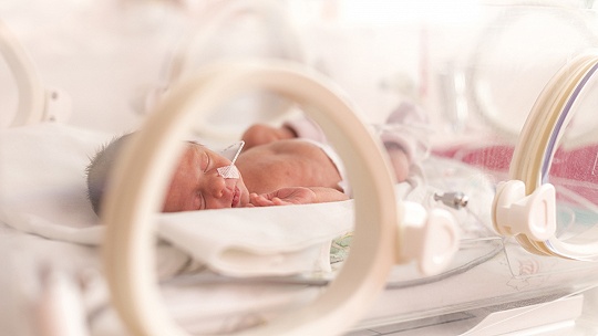 Obrázok Nemocnica v Liptovskom Mikuláši má špičkový inkubátor