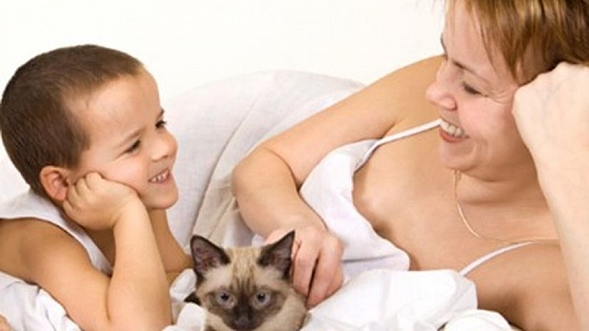 Obrázok Mačky môžu ohroziť tehotenstvo. Ako tomu predísť?