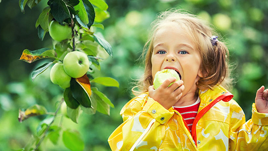 Obrázok Môže sa jesť ovocie popoludní alebo je najlepšie ráno nalačno? Mýty a fakty o konzumácii ovocia vysvetľuje známy gastroenterológ