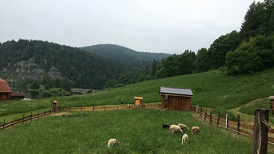 Obrázok V Dedinkách v Slovenskom raji otvorili nový náučný areál. Je v ňom aj motýlia záhrada