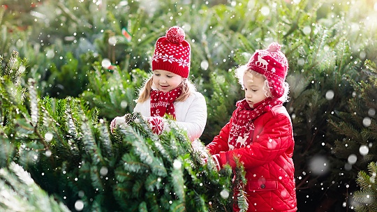 Obrázok Popradské deti vyzdobia vianočné stromčeky na námestí. Podmienka: len z vlastnoručne vyrobených ozdôb