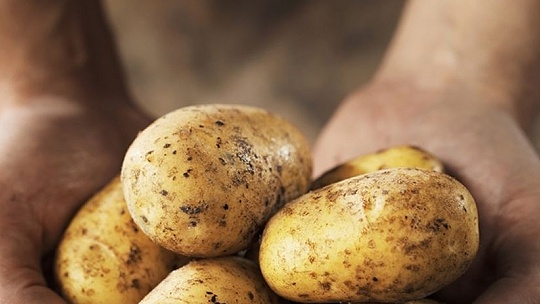 Vyznáte sa&#63; Ktorý typ zemiakov na hodí...