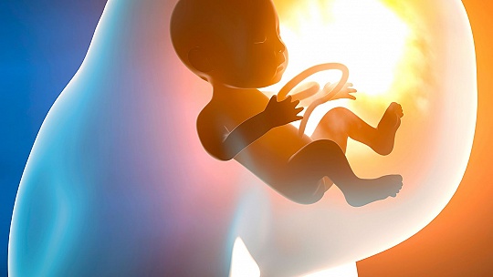 Obrázok Prečo sa v maternici neutopí? Ako dýcha dieťa v brušku