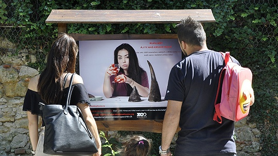 Obrázok Kupuješ? Máš krvavé ruky! Bojnická ZOO spustila letnú kampaň proti priekupníkom so zvieratami