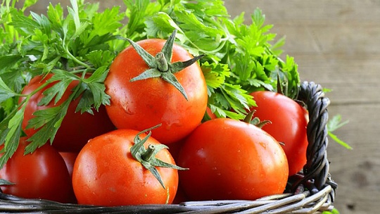 Obrázok Božské paradajky. Chránia pred rakovinou, zlepšujú zrak i náladu