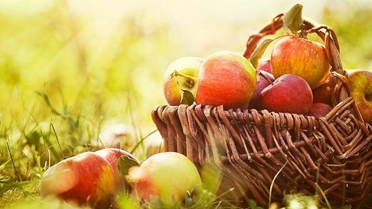 Obrázok Recept na víkend: Skvelý jablkový perník, pripravený za 10 minút