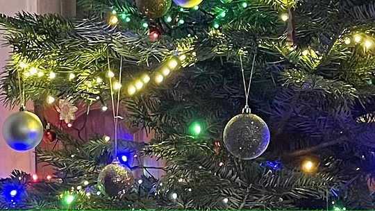 Obrázok Odkiaľ pochádza vianočný stromček a ktorá slávna osobnosť ho prvýkrát elektricky osvetlila?