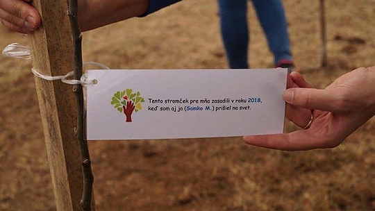 Obrázok V Sade potomkov má strom každé novonarodené dieťa