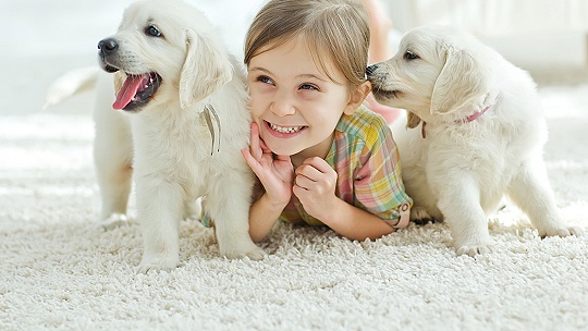 Obrázok Psi a mačky chránia deti pred alergiou a astmou. Čím viac zvierat, tým lepšie